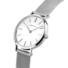 Angled close-up of the white dial and silver-tone case beside the silver-tone mesh strap.
