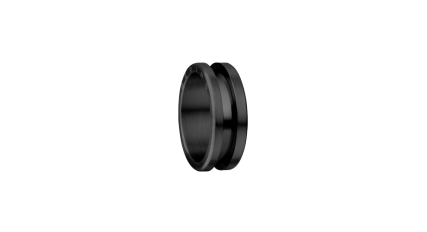ring 1.png